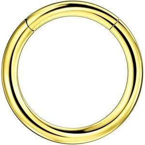 Gold‎ Hinged Segment Ring 8G (3.0mm) 20mm Continuous Seamless Nose Septum Ear